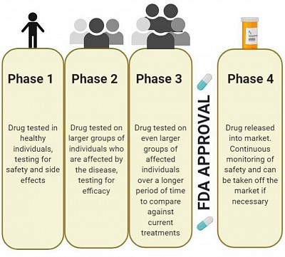 THE PHASES OF CLINICAL TRIALS